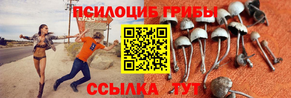 Вольск  Псилоцибиновые грибы Magic Shrooms  Псилоцибиновые грибы MAGIC MUSHROOMS  Вход с VPN 